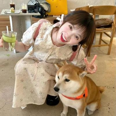爱的着陆