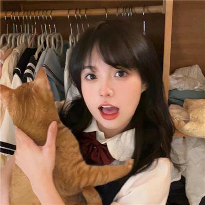 住在海边的猫头鹰